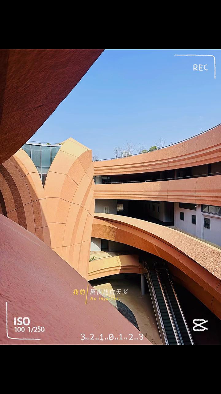 除非是你的温柔不做别的追求，除非是你跟我走没有别的等候。我的黑夜比白天多，不要太