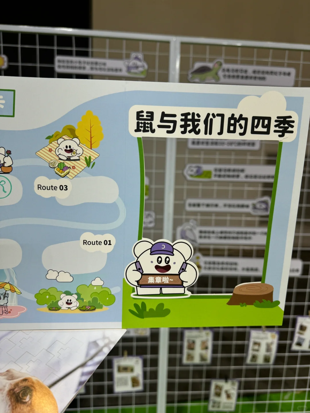 和卡诺一起来华东展玩了