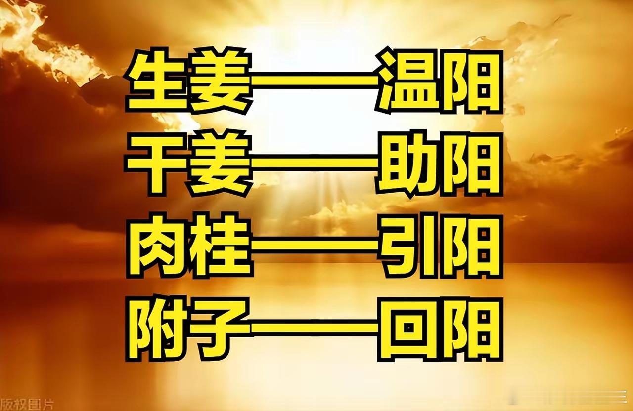 中医升阳四大法： 生姜——温阳干姜——助阳肉桂——引阳附子——回阳生姜性温，虽然