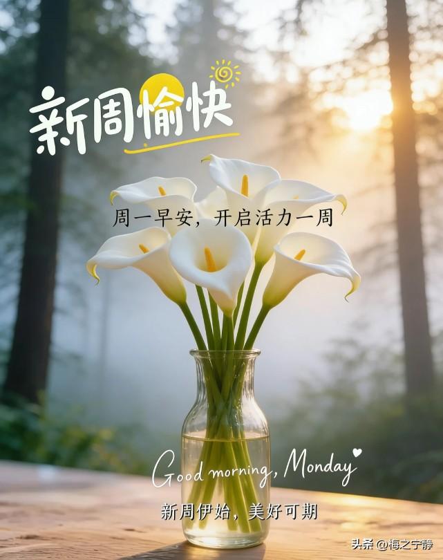 🌼²⁰²⁶/₀₈.₁₀ᵕ̈ 周一｜早安🍂☕️🍒🍑
🍃𝐆𝐨𝐨𝐝 