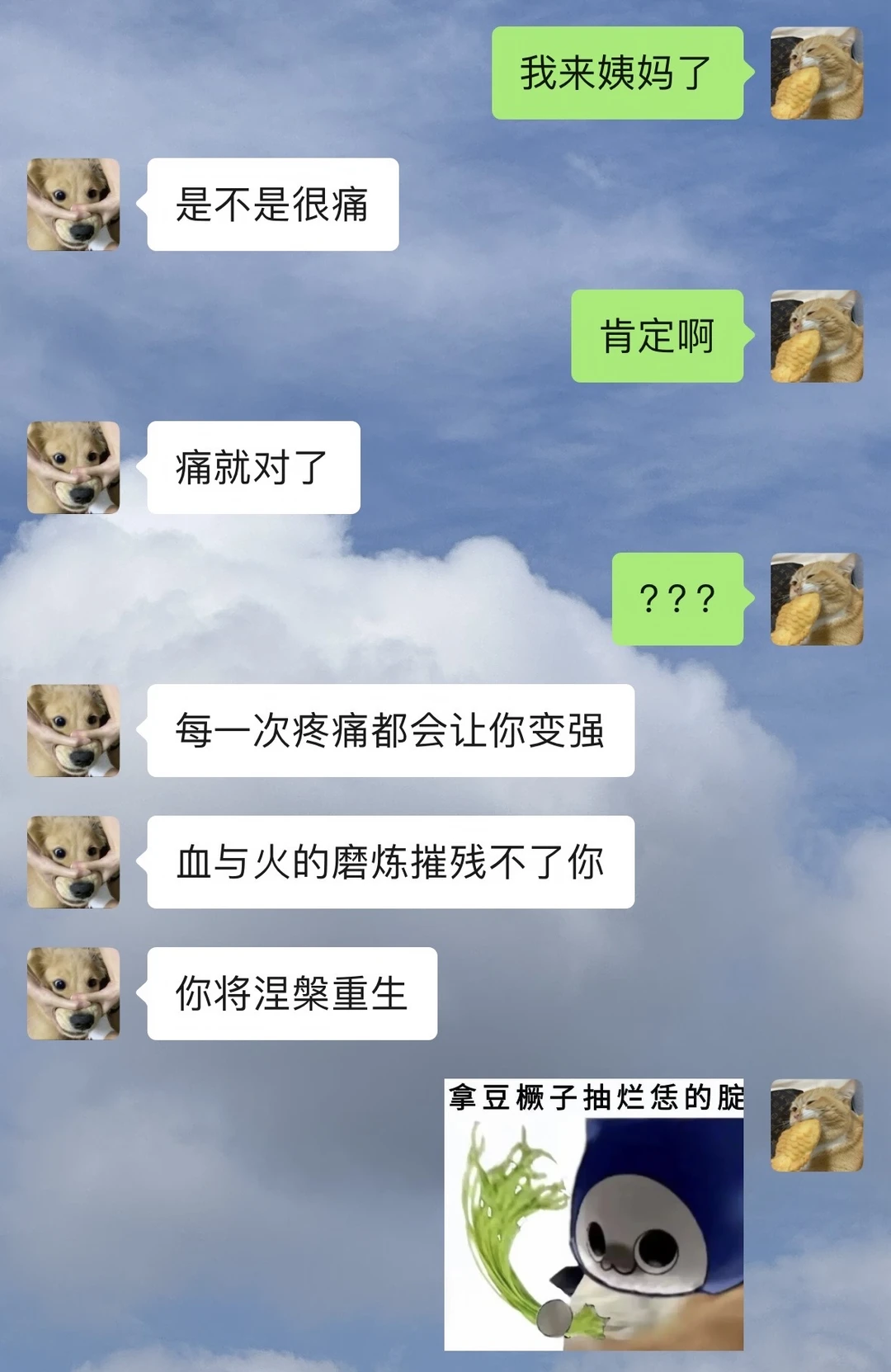 老公：我还不如它？