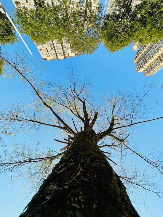 总有人说，被骗是因为蠢、因为贪小便宜。
可走过半生才懂，绝大多数人上当受骗，根本