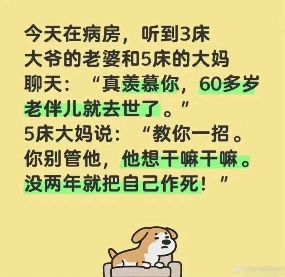 接下来，会不会5床大妈和3床的大爷走到了一起？