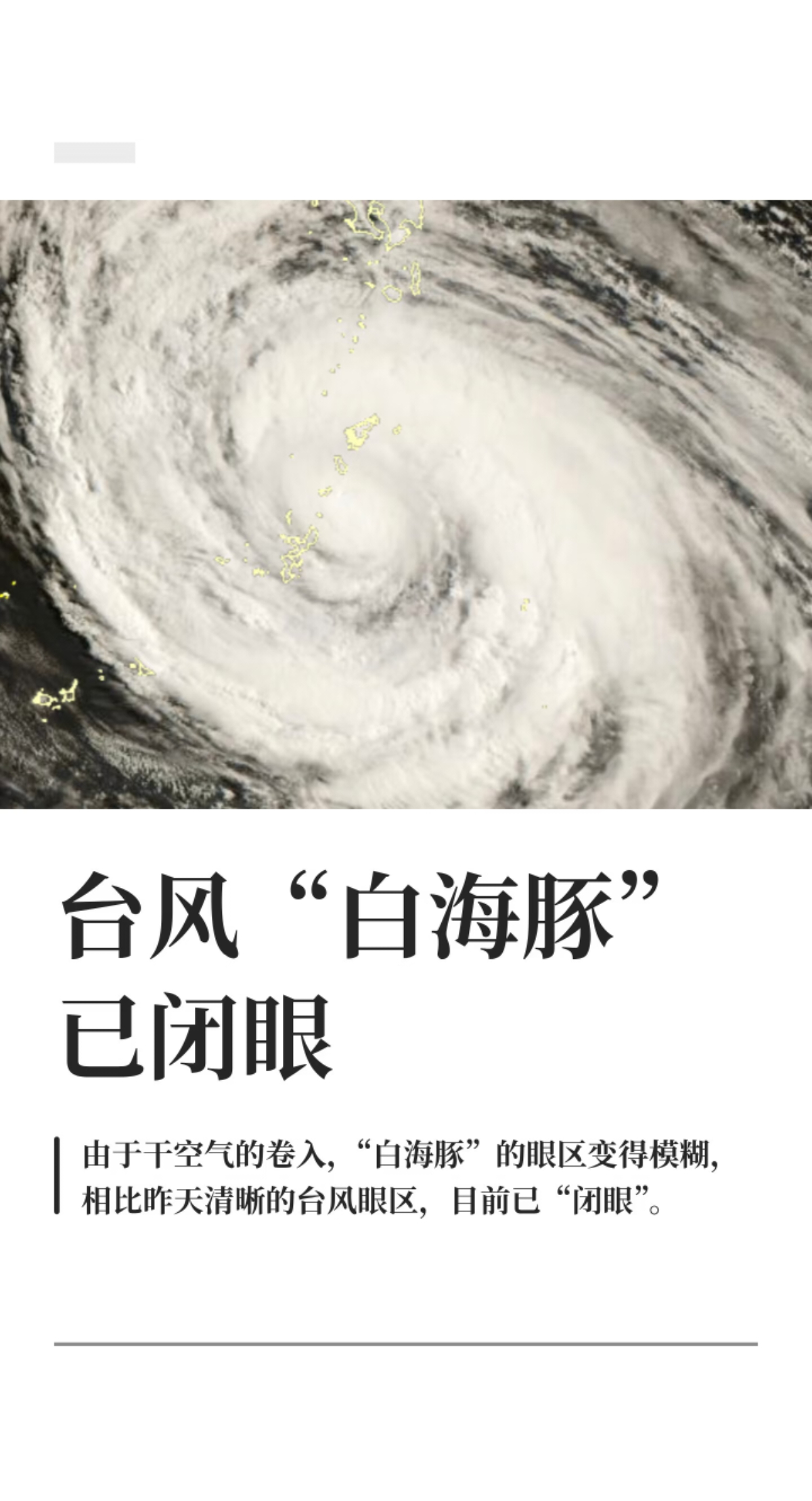 白海豚已闭眼为什么说闭眼了反而更危险了？闭眼≠风险降低！⚠️ 虽然中心风力可能减