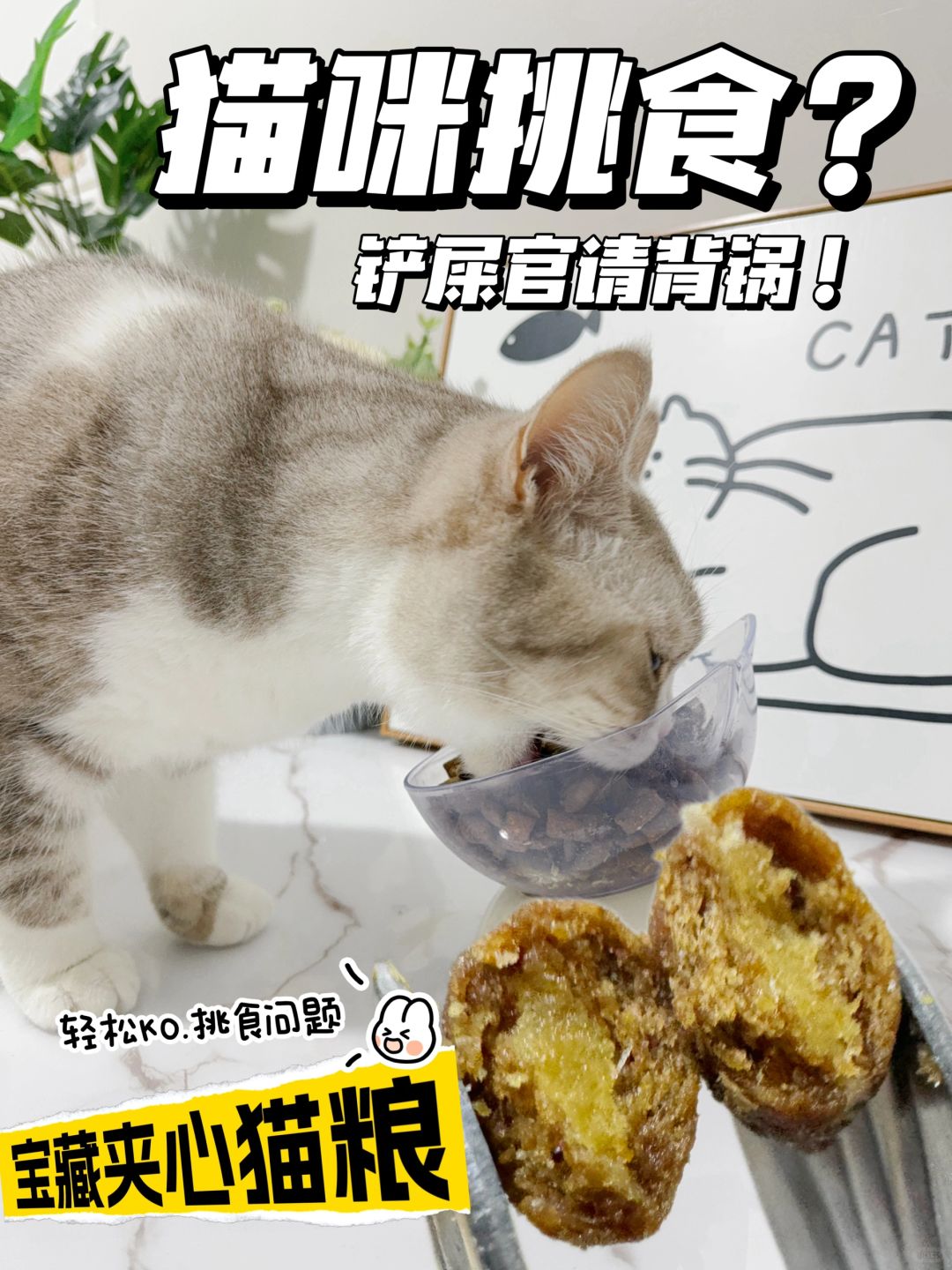 军训过还是挑食的小猫🥹，试试夹心猫粮吧...