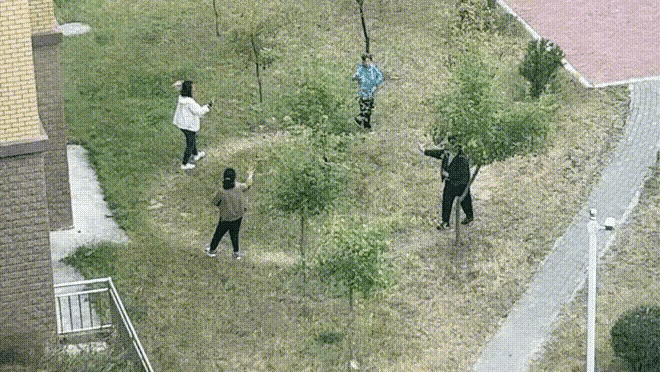 你们这是干啥都转一天了[大笑][大笑][大笑]