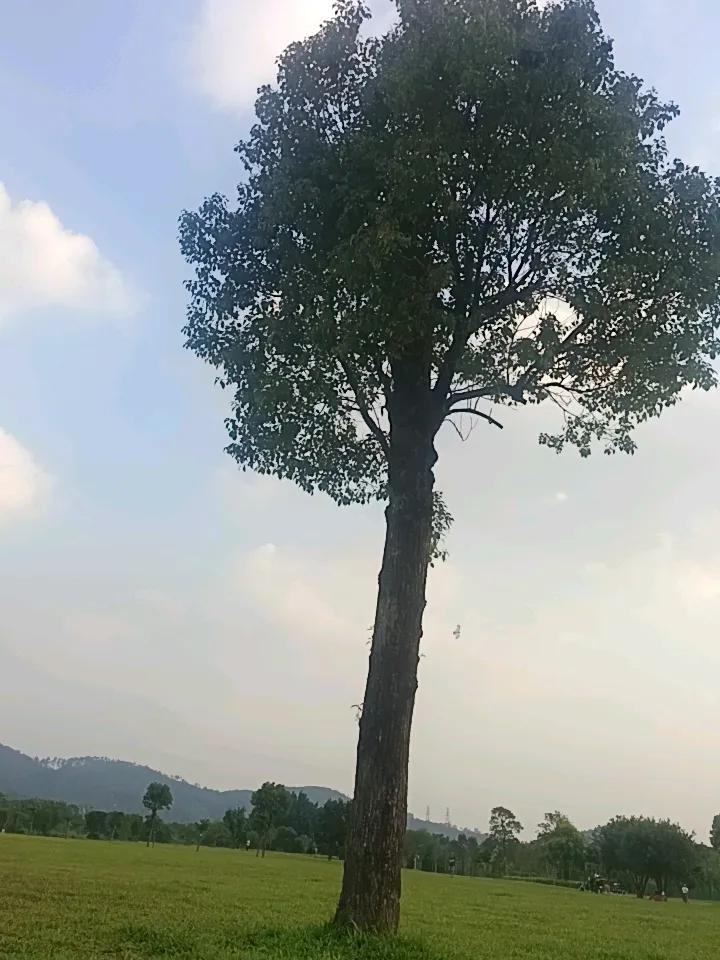 自己条件不是很好，去看妈妈的时候给妈妈八百块钱买点东西吃啥的，妈妈一拿到手上就当