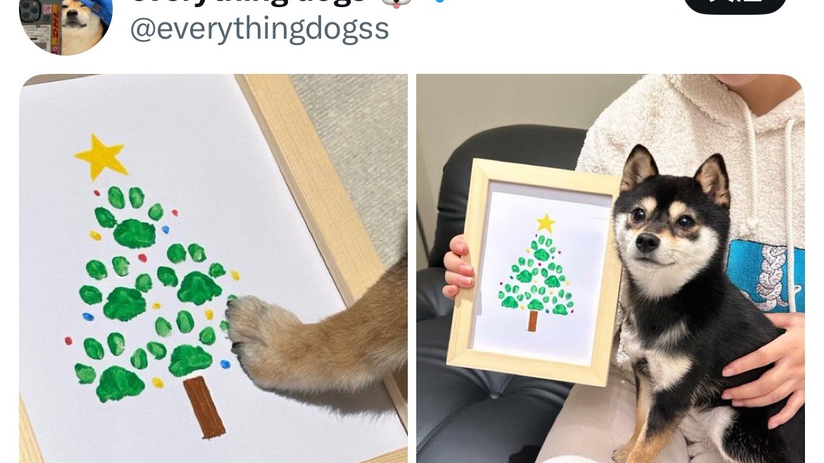 好可爱 lzx能不能也来DIY一下