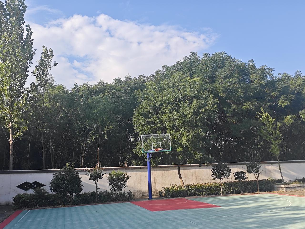 同样是40年教龄的在编教师，2026年退休，中部省份养老金差距究竟有多大？
 