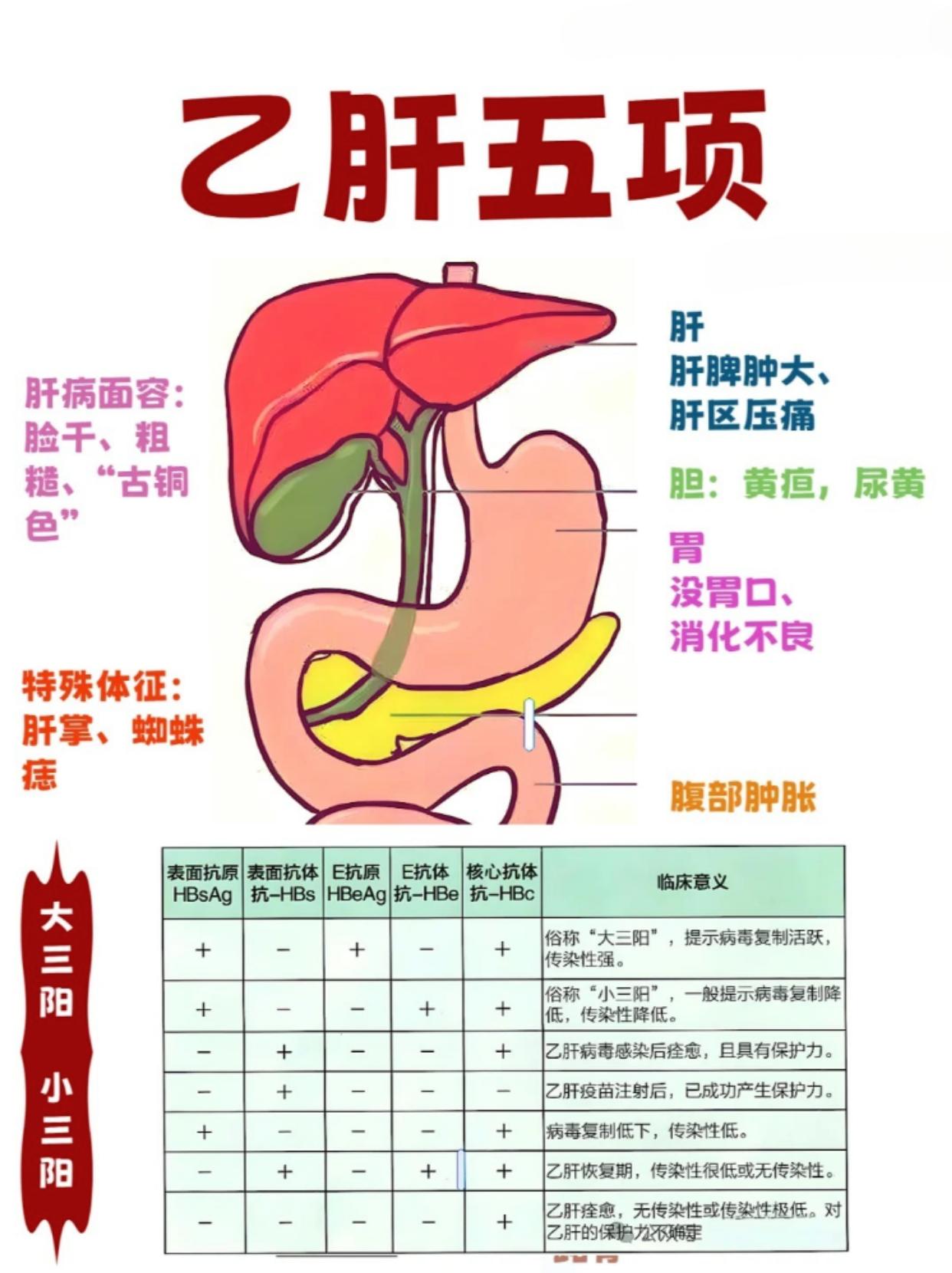 乙肝，感染后，身体会有哪些变化？

1、肝：乙肝病毒，如果没有得到有效控制，肝脾