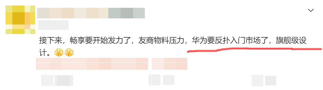 华为继续给入门机上强度，100 Pro Max来了