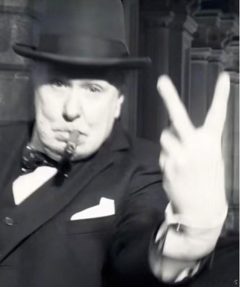 小天狼星和丘吉尔竟然是同一个人演的！还有童年阴影这个杀手不太冷里的大反派