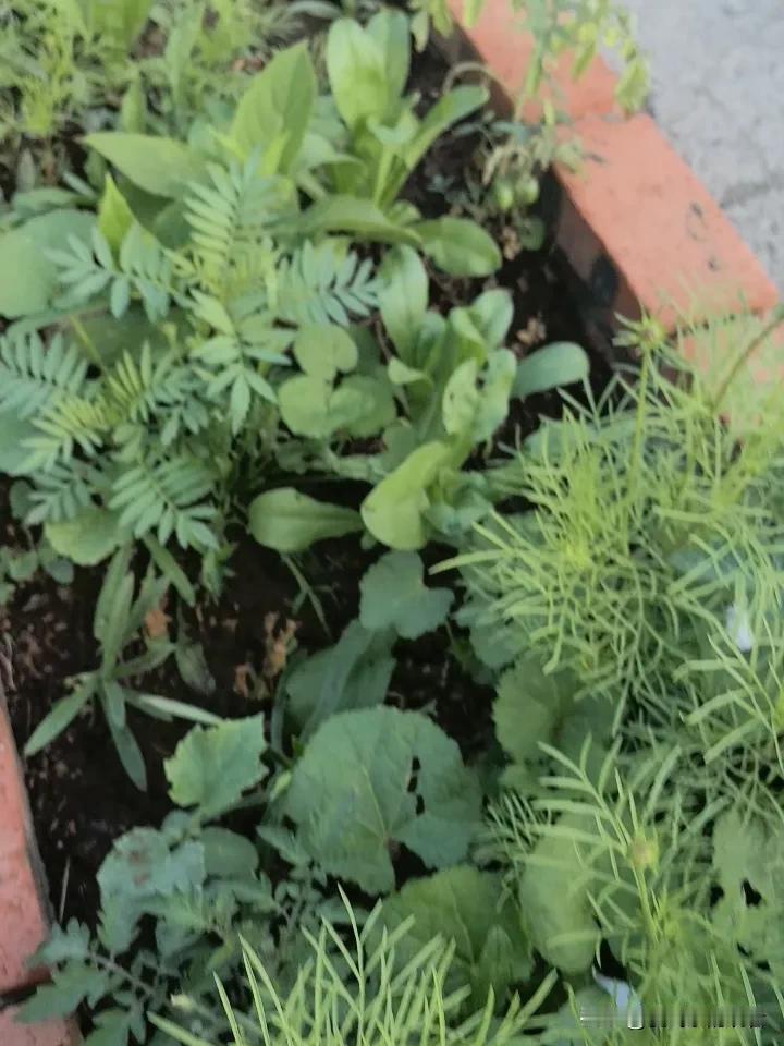 是的，但不能啥亏就吃哈，该吃亏时可以吃亏，不应吃亏时那肯定不能吃亏。