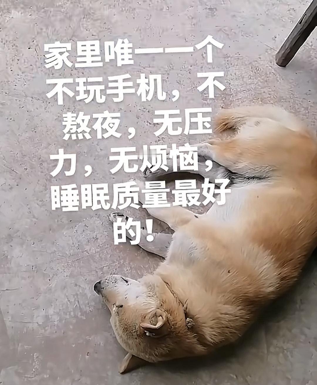 做自媒体，让人感觉要么“有用”，要么“有料”，这样才会有人关注你，看你的内容。