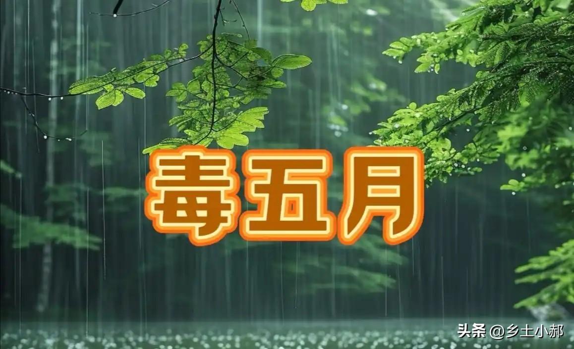 不是迷信！明日五月十五：无论多忙，牢记：一不结、二不熬、三不争

粽子的余香还萦
