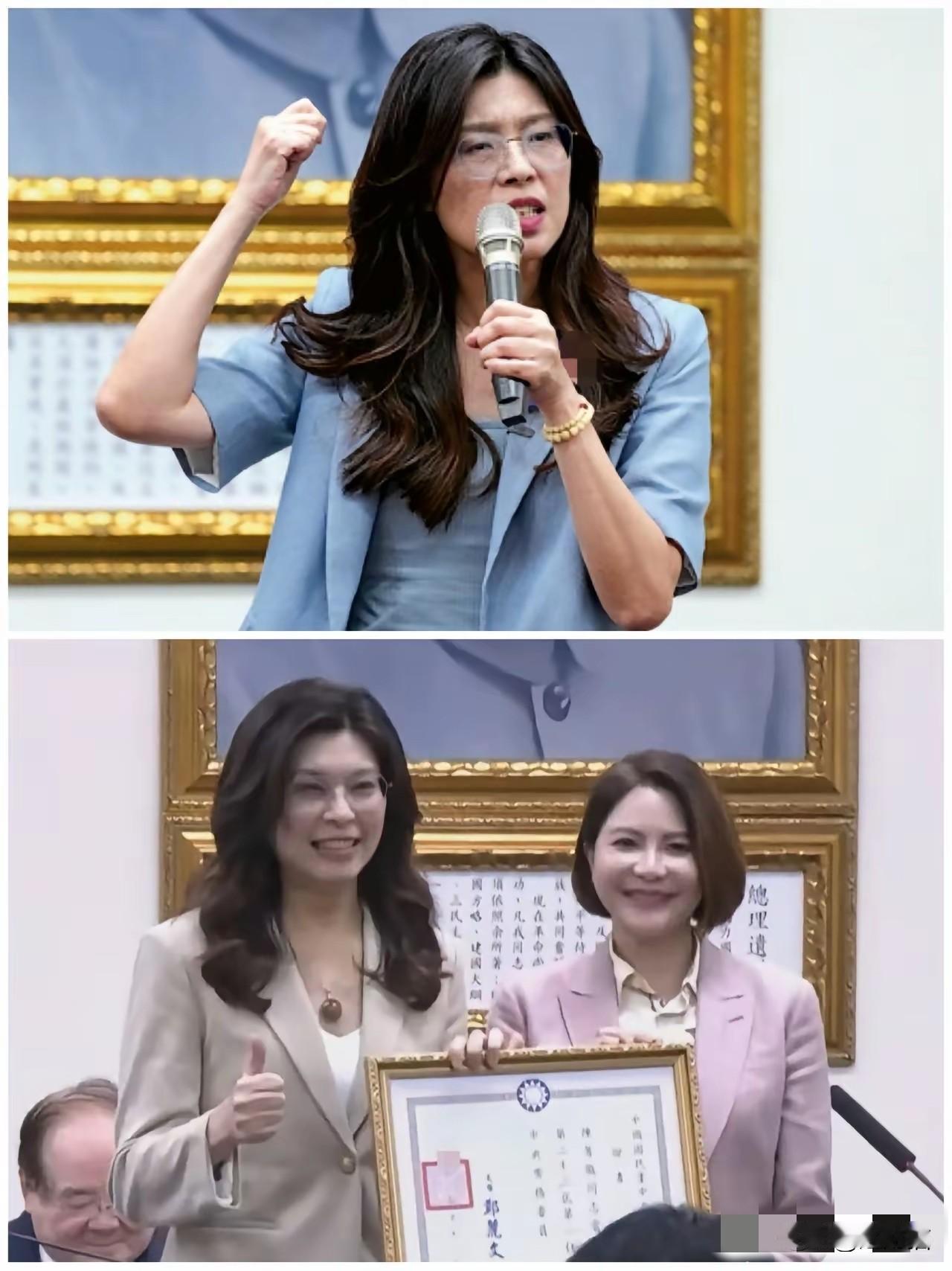 国民党主席郑丽文最新表态，“希望未来有一天，在台湾也可以热热闹闹的，很顺利的来办