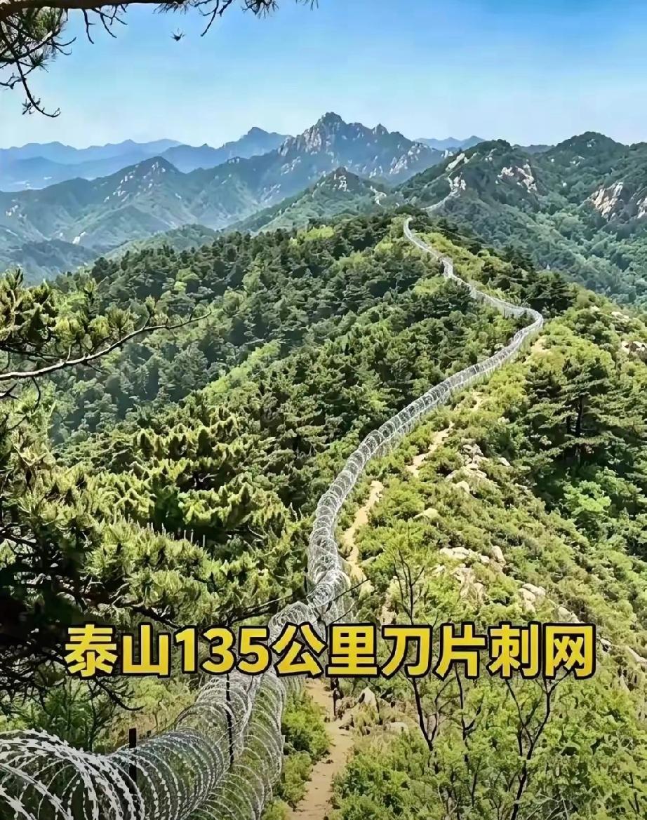 两千多万的工程，建的时候昭告天下，拆的时候居然找不出一个能做主的人。
​135公