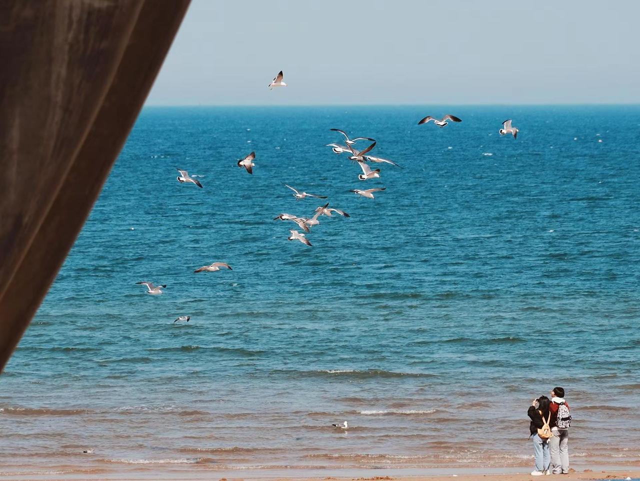 你有多久没有看过那片海