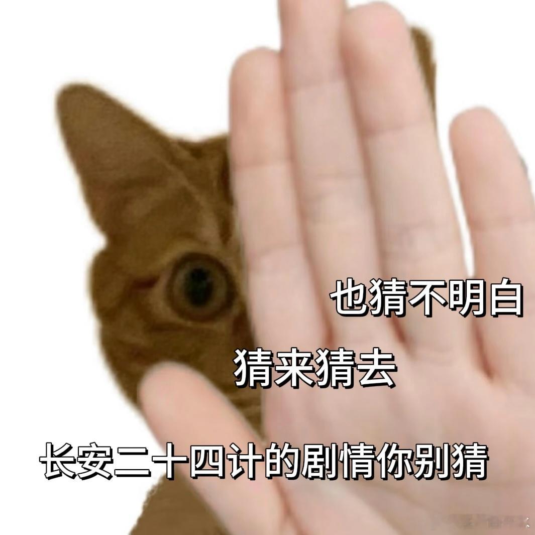 长安二十四计猜不到一个剧情《长安二十四计》的反转太绝了！谢淮安布的局全是坑，全员