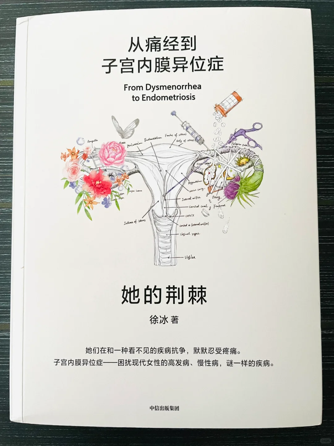 《她的荆棘:从痛经到子宫内膜异位症》