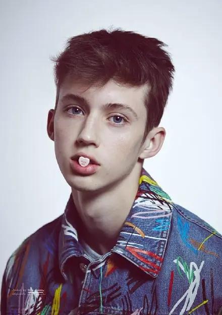 在中国比在外国火的外国艺人。

特洛耶·希文 Troye Sivan——1995