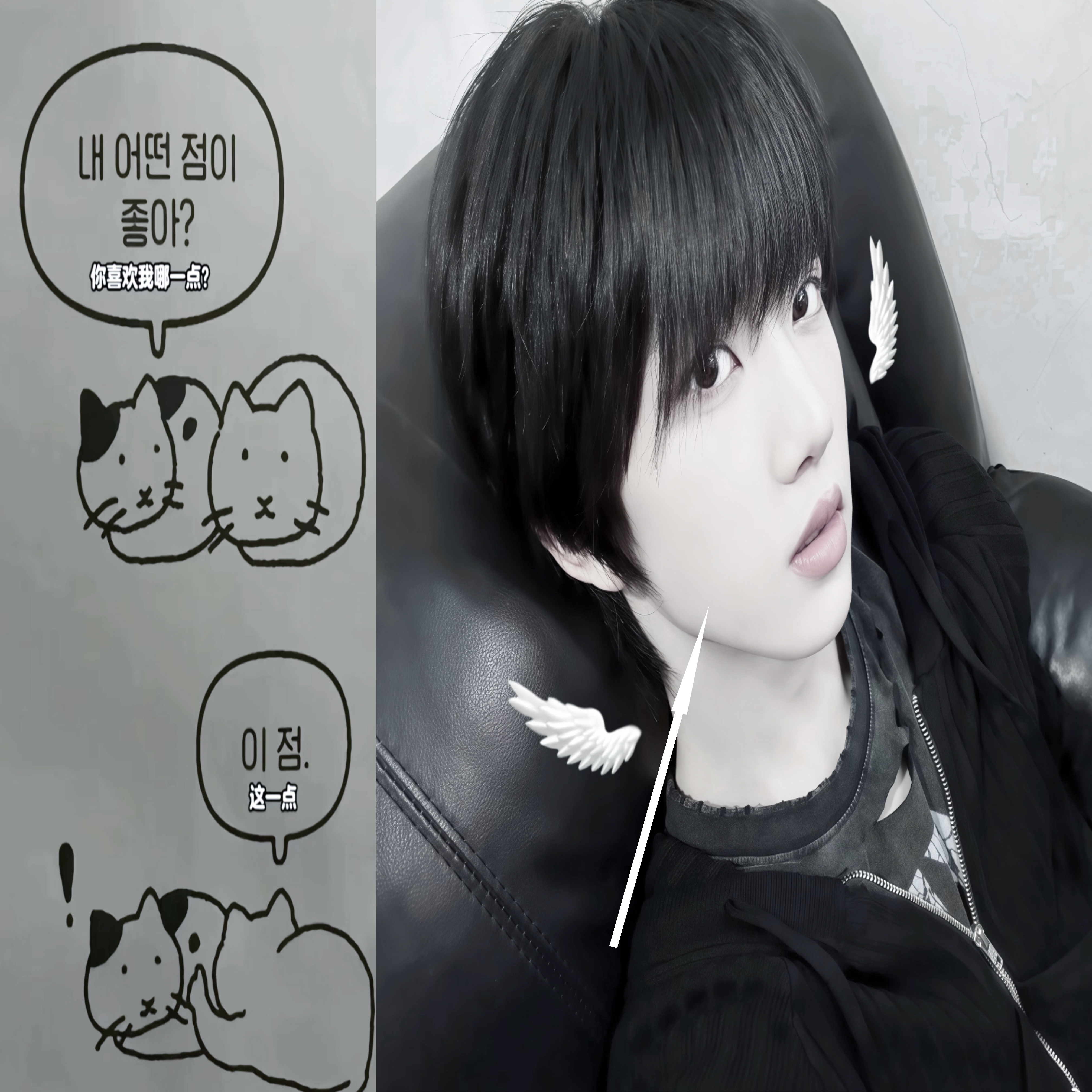 can i get a kiss….？专栏 · 瑞瑞咪