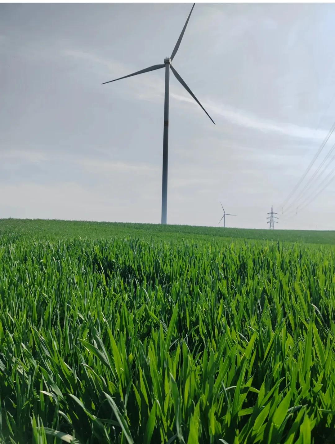 你们那儿三月初三有啥特别的讲究?三月三，咱这儿的老讲究
 
农历三月初三，咱们这