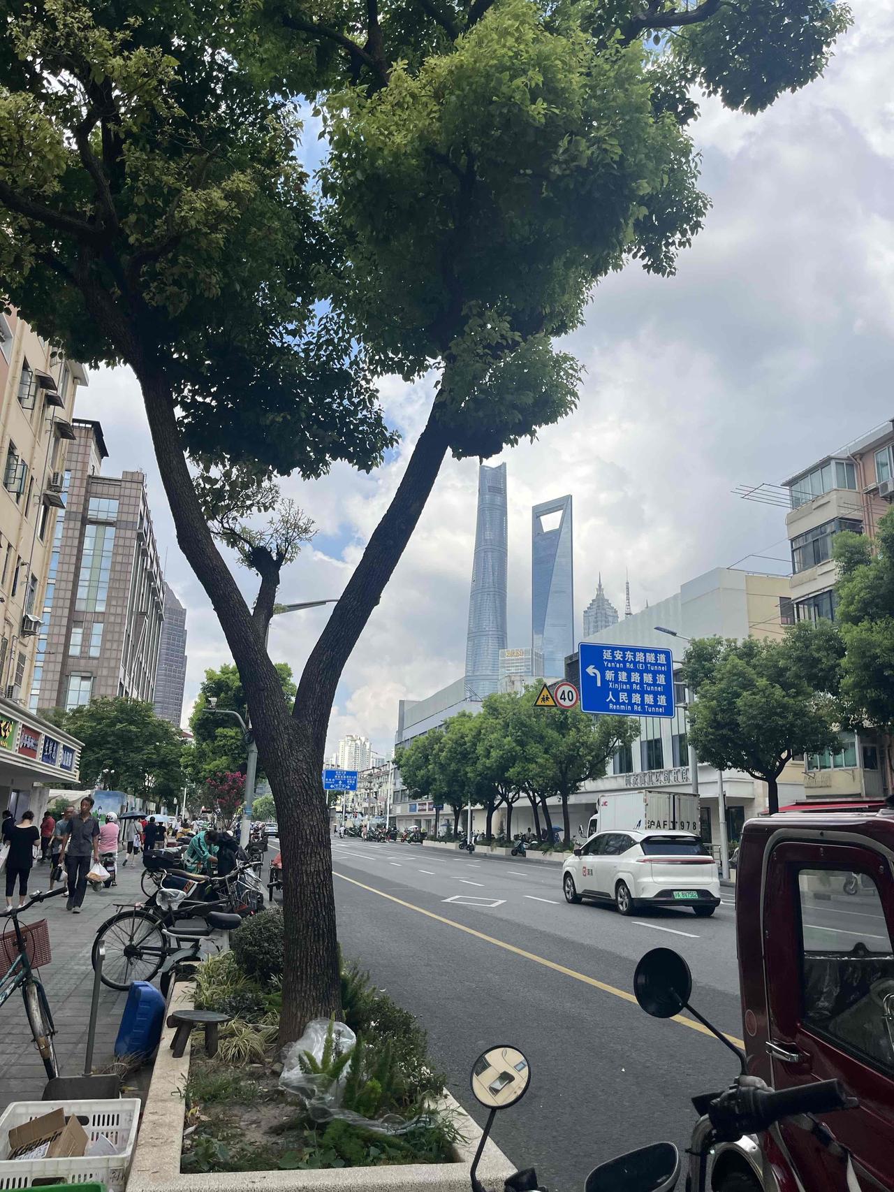 现实版的狼来了：上次巴威虚晃一枪，菜都囤好了结果风平浪静，这次白海豚又是刮风又是
