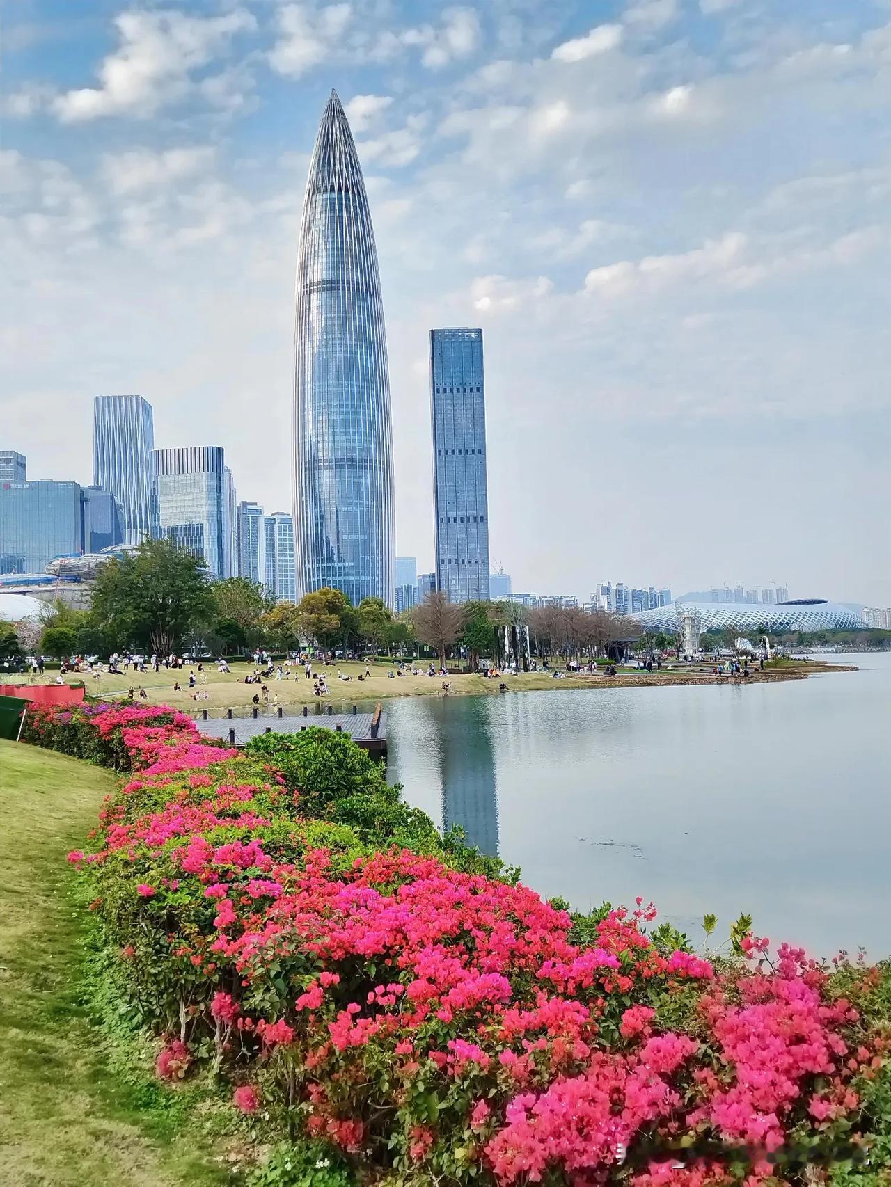 【原创摄影】面朝大海，春暖花开
深圳湾滨海新城诗意地朝向伶仃洋，四季花海与候鸟一