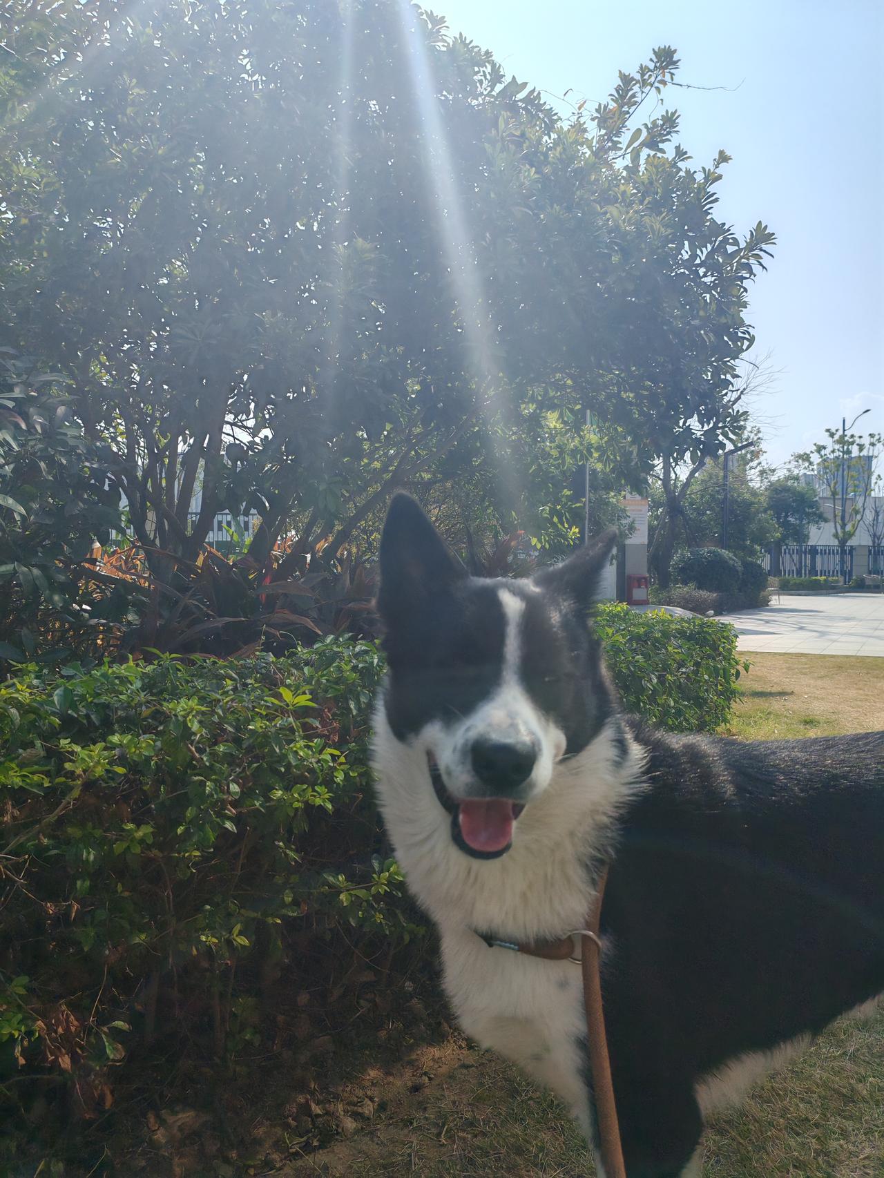 本是反弹的日子却遇到亚太股市的大跌，结果是缩量7000亿，继续宣泄情绪。盘面上电