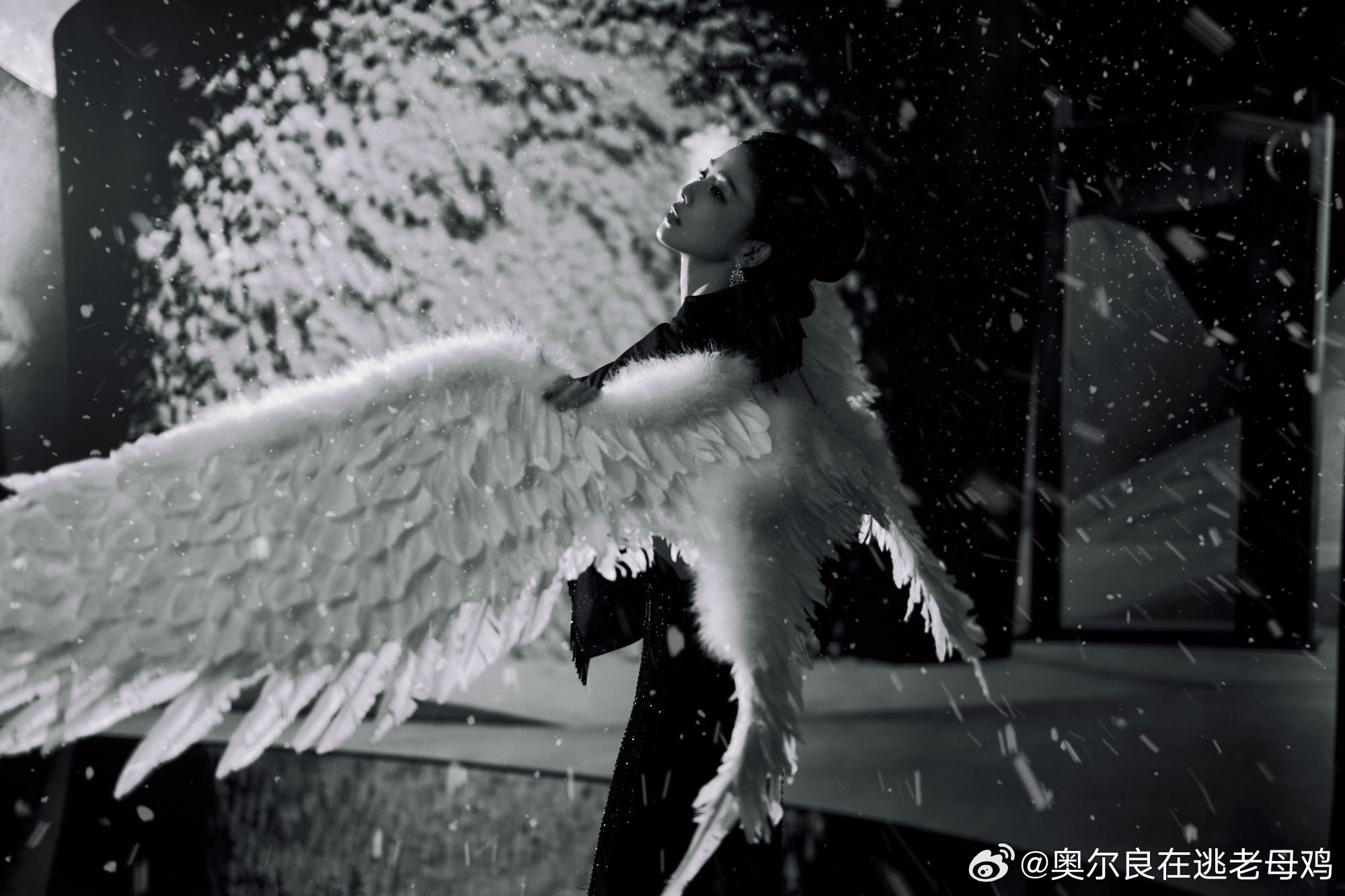 白鹿背着羽毛翅膀以为白鹿要走维密了盛典造型通常偏稳妥，这套在正式感里加了点舞台味
