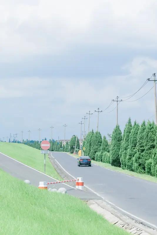 夏季路上，简直是一场“热辣冒险”。太阳像个大火球，毫不留情地炙烤着地面。我走在路