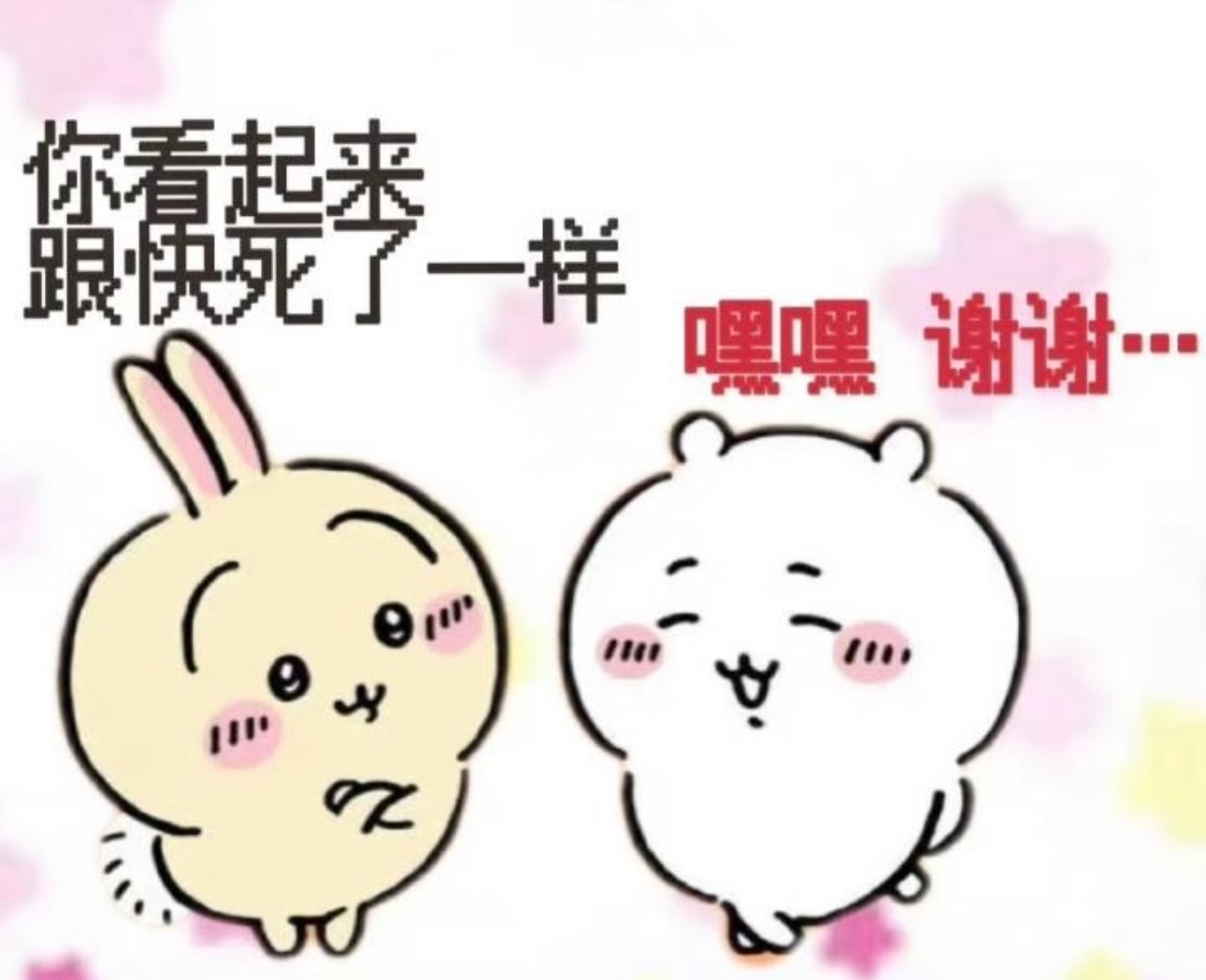 分享图片 