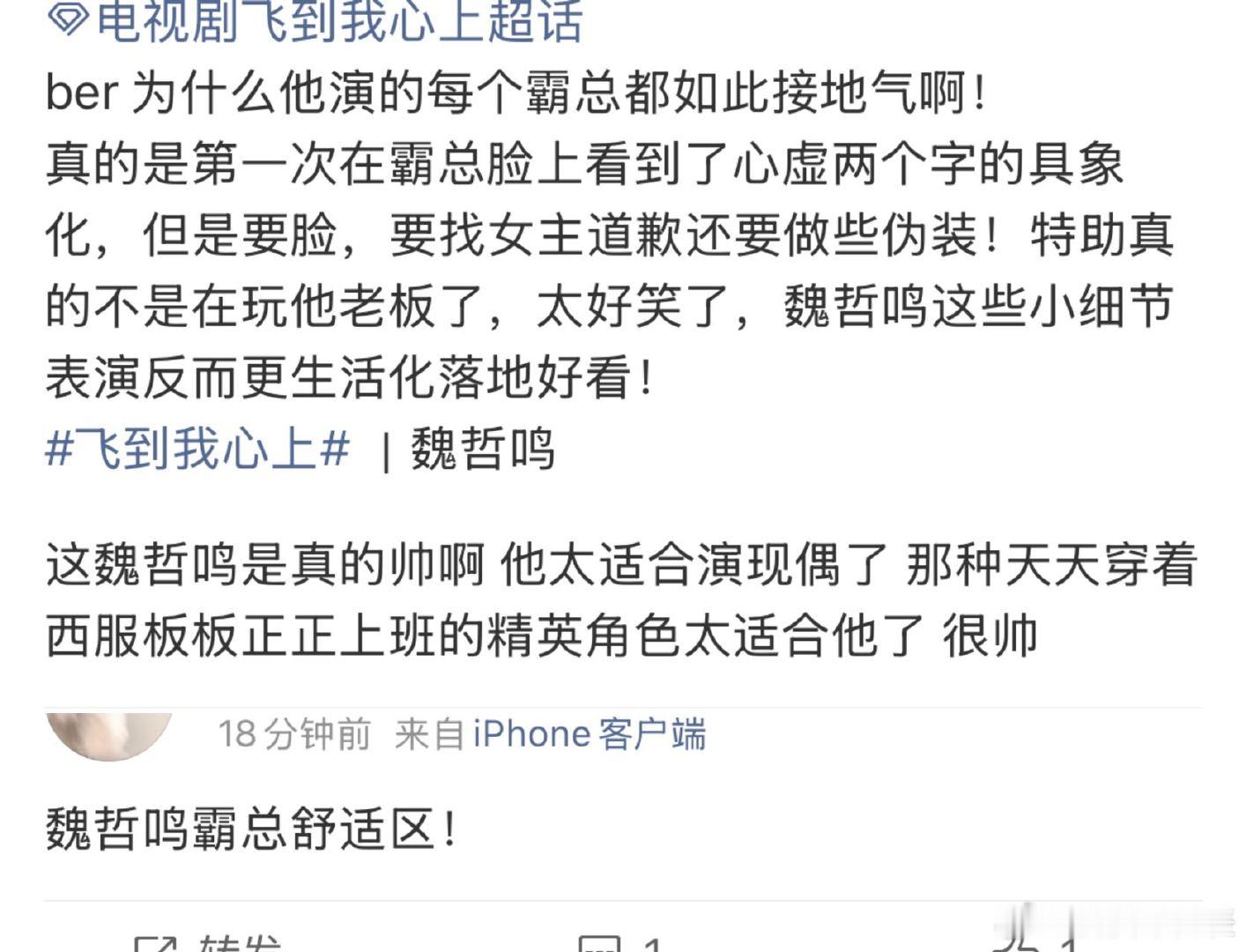 魏哲鸣下沉市场口碑 魏哲鸣飞到我心上口碑 全网见证的口碑逆袭！《飞到我心上》凭借