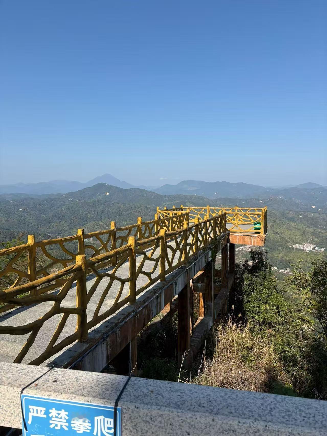 分享我这周有趣的事：这周可太逗了！周三想学网红做蛋挞，结果忘了预热烤箱，烤出来全