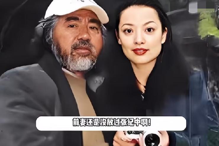 6月1日，张纪中被娱媒爆料与前妻还没离婚时，婚内转移两套豪宅到杜星霖名下，当时他