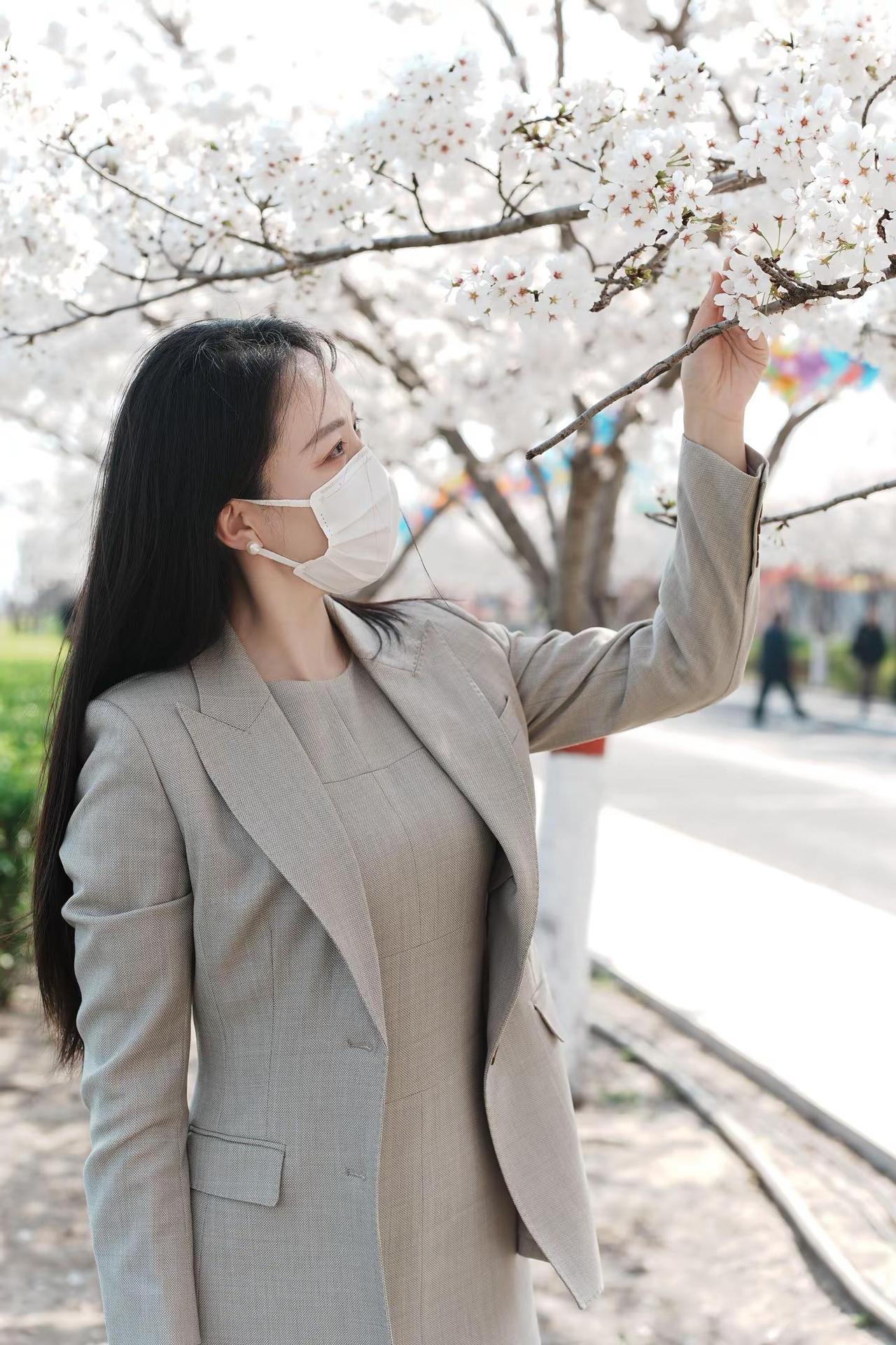 梨花瘦七朵组合