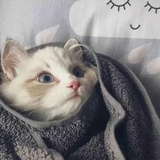 烁顺爱玩影视剧