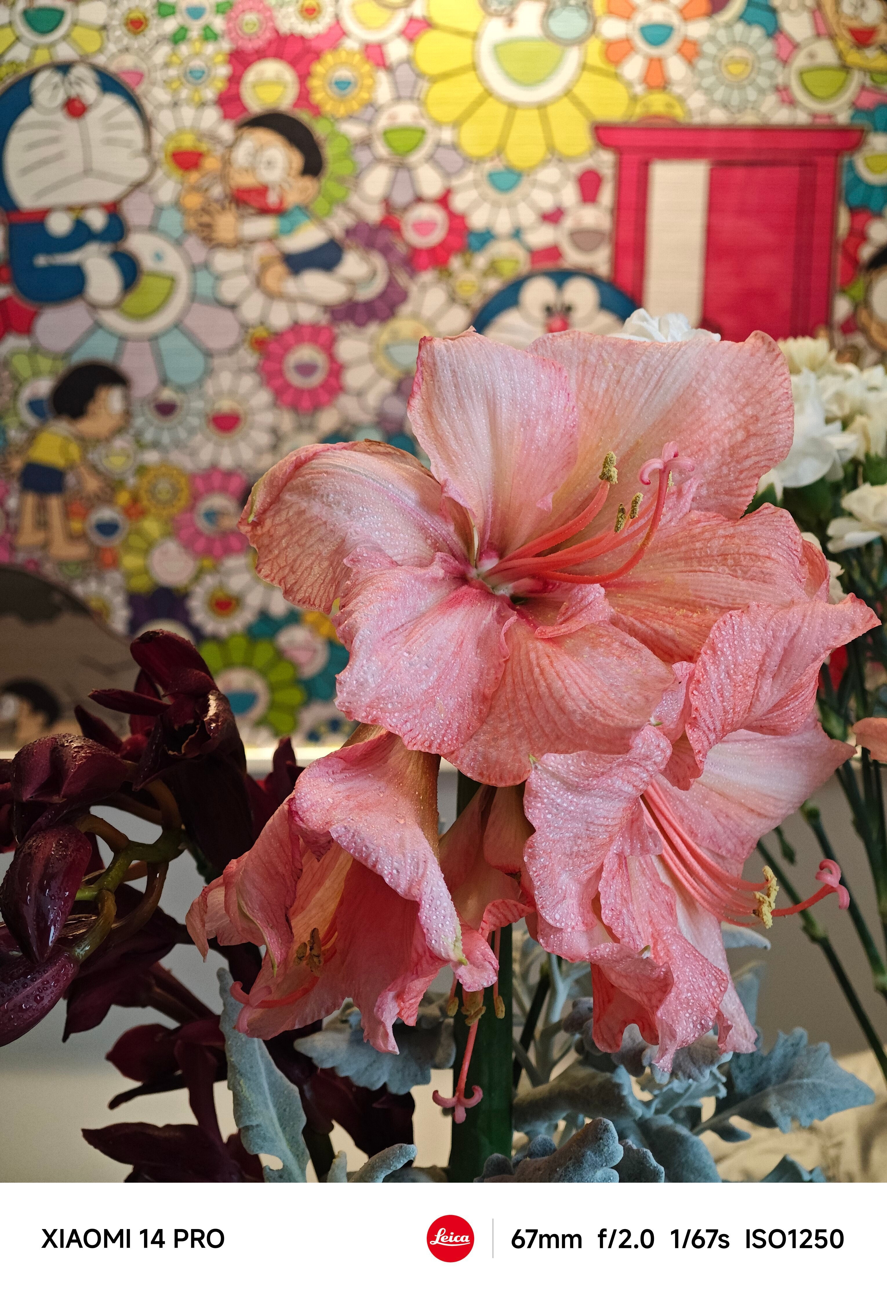 真是病来如山倒，昨天还只是咳嗽流鼻涕今天就起不来床了…[生病][生病][生病] 