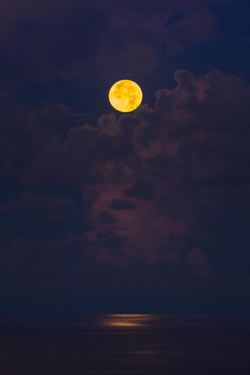 人生得也罢，失也罢，要紧的是心中的一泓清泉不能没有月辉。—— 贾平凹 