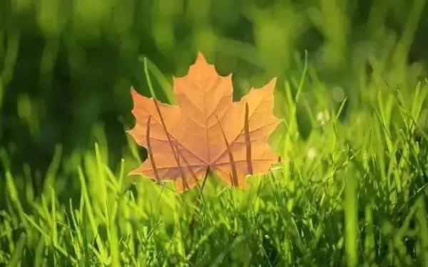 🌤²º²⁶/₁.₃ ꙳⸜🚗⸝ໍ 𖥧𖥧🍑 ꃅꍏᖘᖘꌩ🍁

女人最好的滋