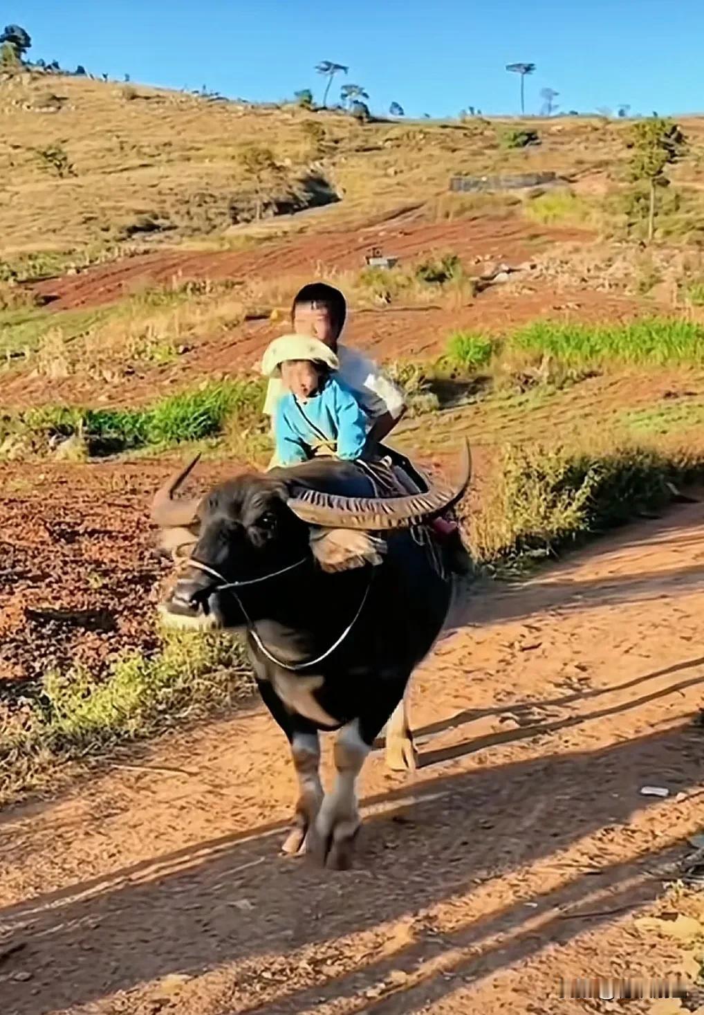 瑞典法官:
我们不可能腐败，因为我上庭之前，不知道审谁；被告上庭之前，不知道谁审