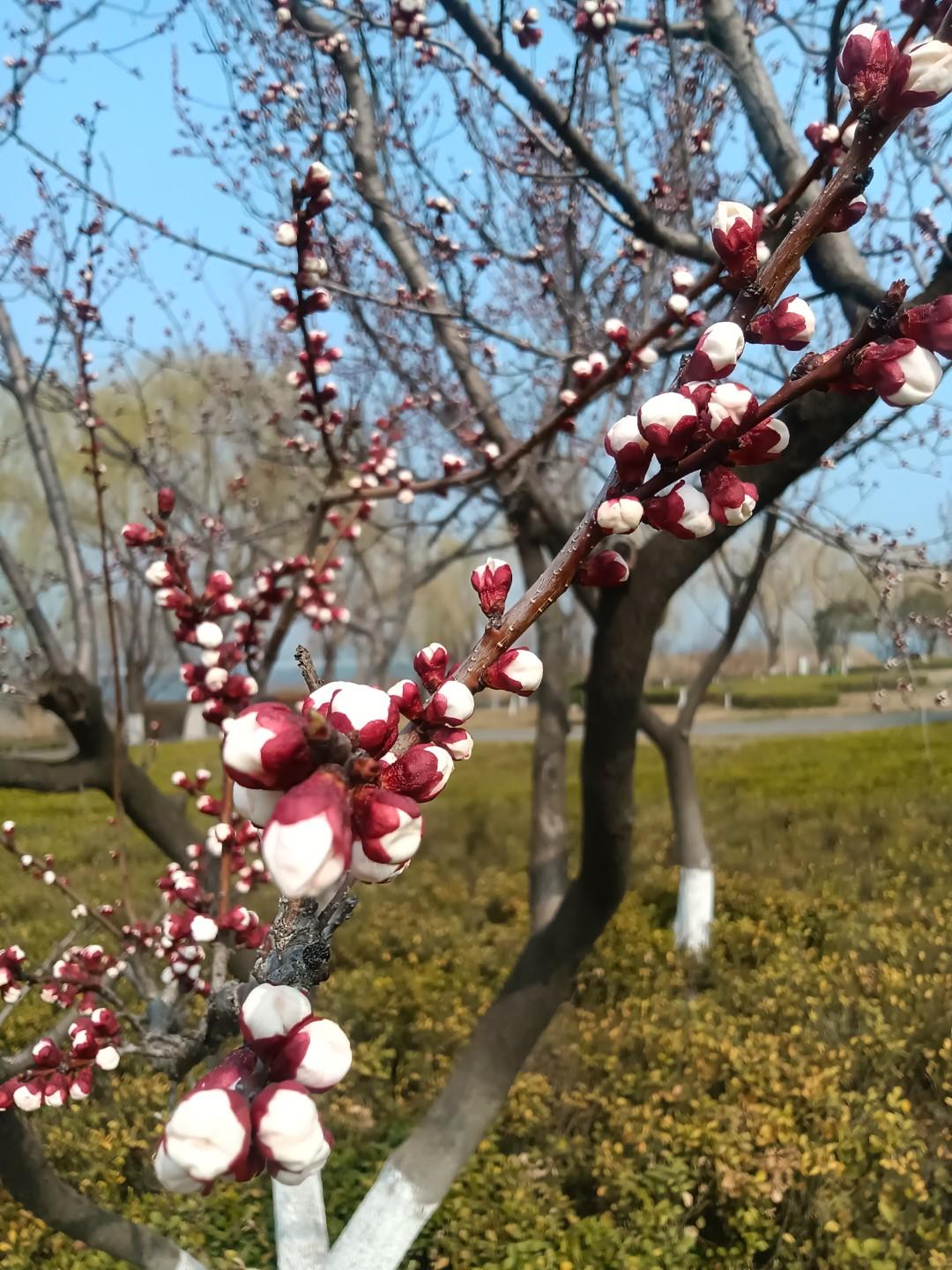 中国台湾省民
藏头诗
文/李兴伟
华夏文明逾五千，
邦国几度历更迁。
台岛三番终