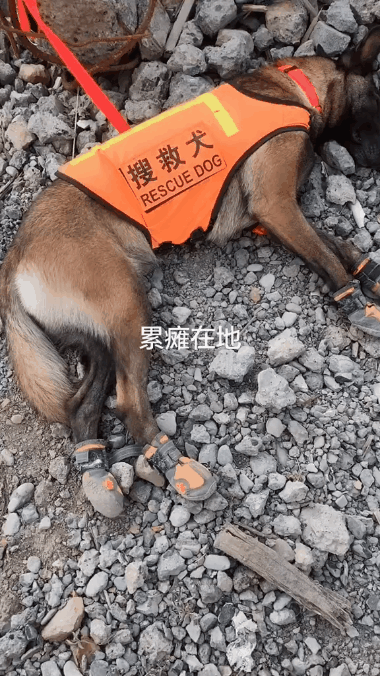 同志——辛苦了