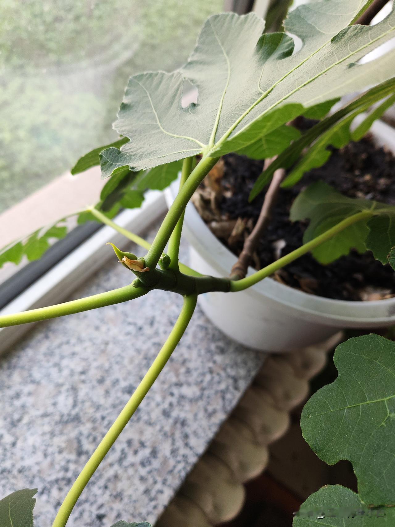 不管什么事都不要着急，因为，着急不管用。只有静下心来，冷静思考，才能做出正确的选