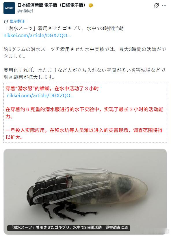 日媒：新加坡南洋理工大学佐藤裕崇教授等人，作为“半机械昆虫”研究的一部分，开发了