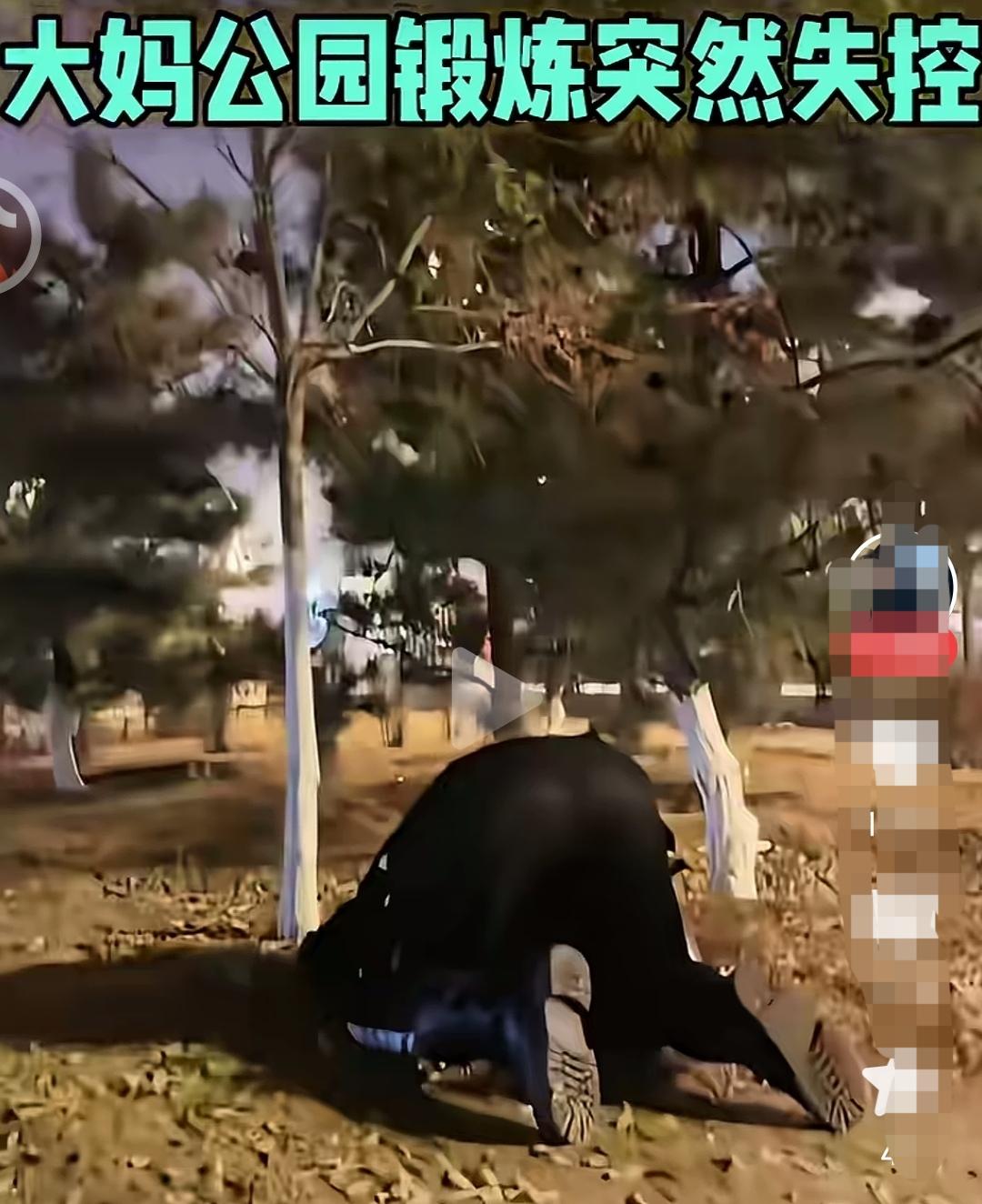 这是树发火了吗？
      到什么年龄干什么事，无论干什么事都想想这事该不该干
