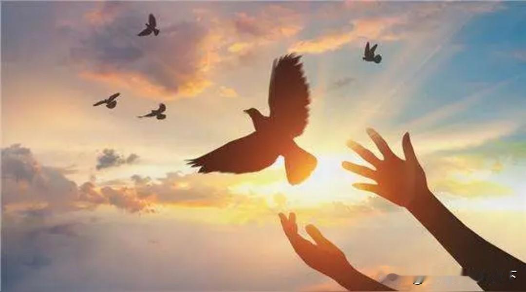 #中方驳斥美方：在乌问题上坦坦荡荡#
美国人非常阴险，明明自己满世界煽风点火，大