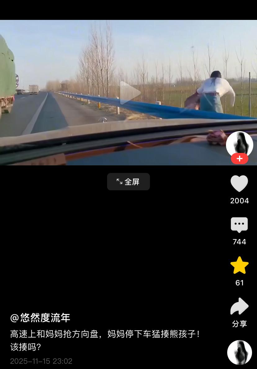 高速上拿树枝狠抽儿子，该打！
熊孩子不懂事，妈妈在高速上驾车，他抢方向盘。妈妈停