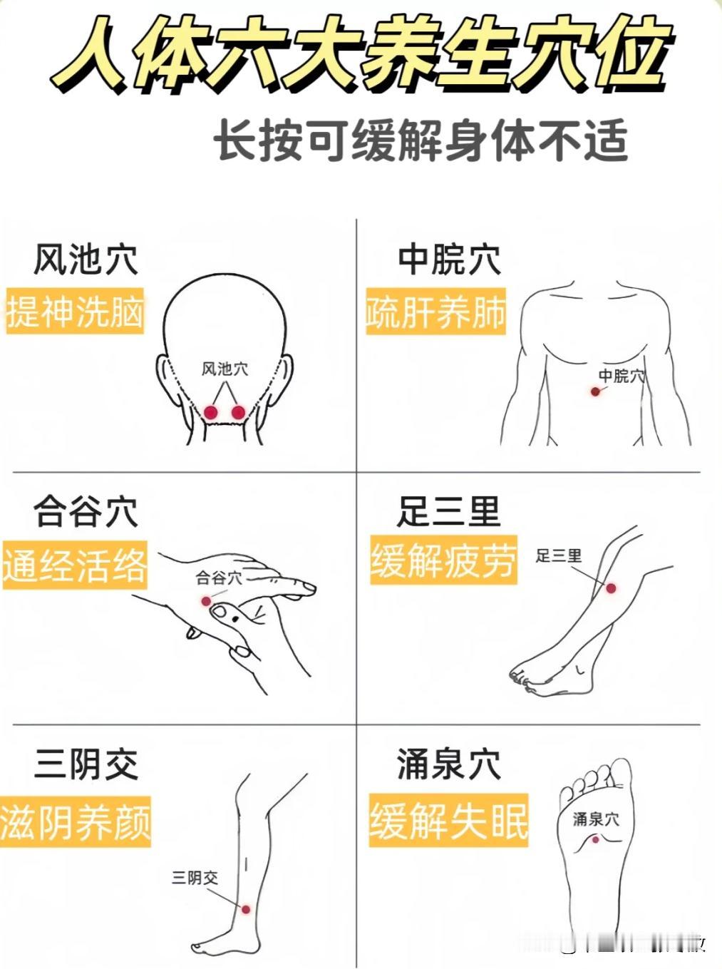 人体六大养生穴位
1、风池穴——提神醒脑
2、中脘穴——疏肝养肺
3、合谷穴——
